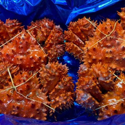 【北海道根室産】ボイル花咲かに400～490g×4尾 A-72013