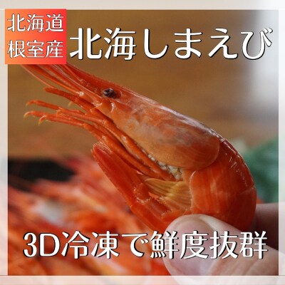 【北海道根室産】北海しまえび500g A-12002