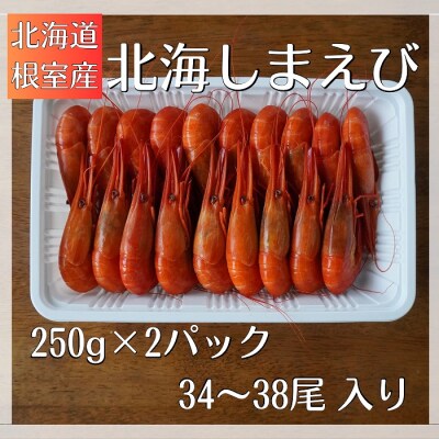 【北海道根室産】北海しまえび500g A-12002