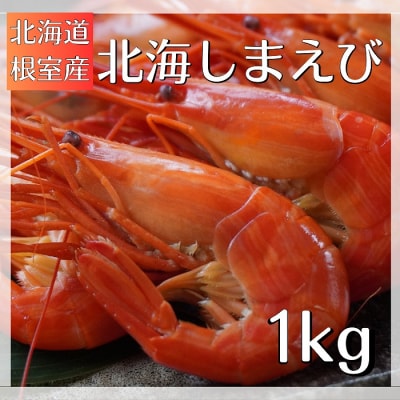 【北海道根室産】北海しまえび1kg B-12001