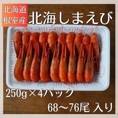 【北海道根室産】北海しまえび1kg B-12001