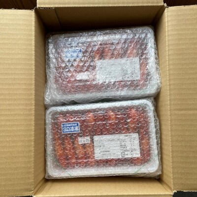 【北海道根室産】北海しまえび1kg B-12001