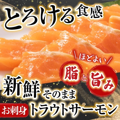 お刺身トラウトサーモン約300～400g×2P A-11127