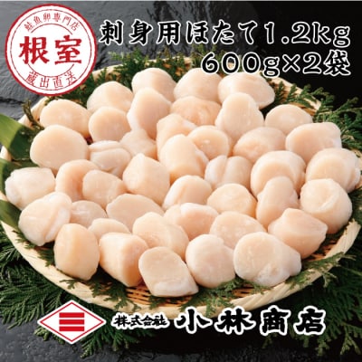 ＼漁業者応援品/刺身用ほたて1.2kg D-16027