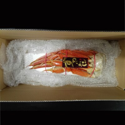 根室海産市場<直送>本ズワイガニ脚2肩(計約700g) A-28203