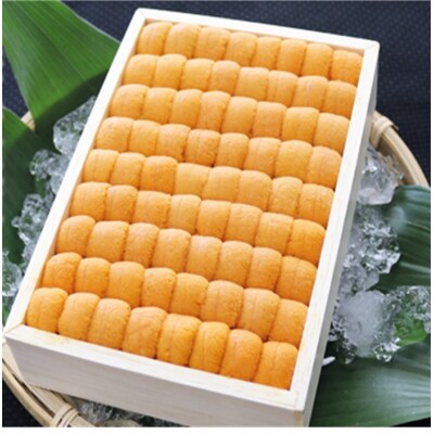 ＜12/17まで年内配送＞エゾバフンウニ並べ詰め250g×1折 E-71033