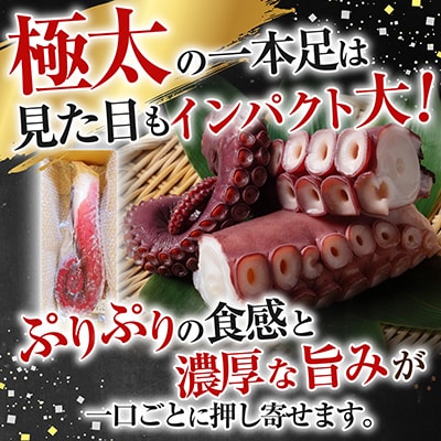 【北海道根室産】真たこ1本足1～1.3kg A-19004