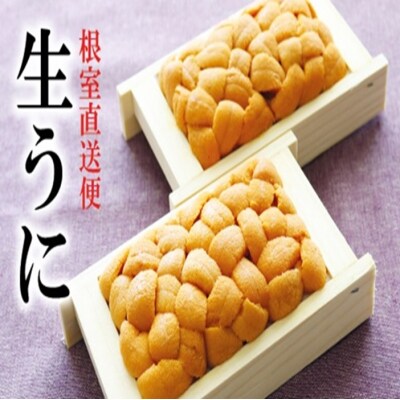 ＜12/14まで年内配送＞エゾバフンウニ70～80g×2折 F-40006