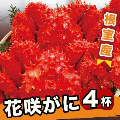 【北海道根室産】ボイル花咲蟹4尾 C-29012