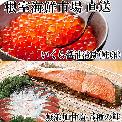 天然鮭3種各5切、いくら(鮭卵)70g×1P A-14096