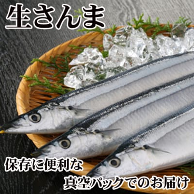 【北海道根室産】冷凍さんま20尾入り A-30003