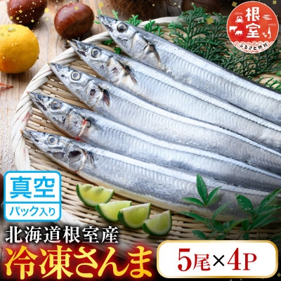 【北海道根室産】冷凍さんま20尾入り A-36003