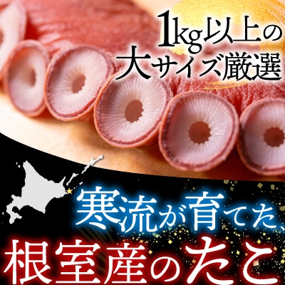 【北海道根室産】刺身用たこ足1本(1kg以上) A-14228
