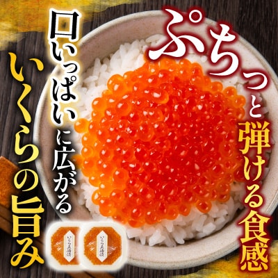 いくら醤油漬け70g×2P・トラウトサーモン(背)1本 A-28211