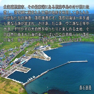 【北海道根室産】北海しまえび250g×2P A-20001