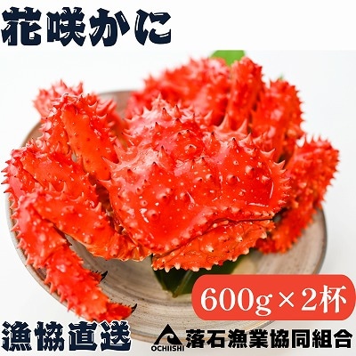 【北海道根室産】花咲がに600g前後×2尾 B-20001