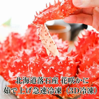 【北海道根室産】花咲がに600g前後×2尾 B-20001