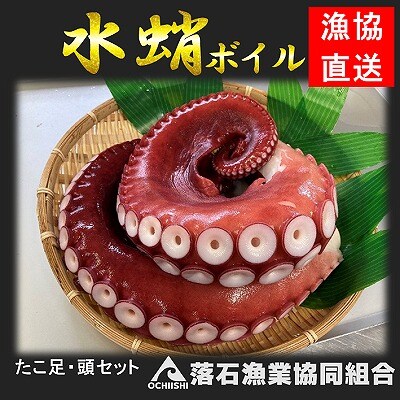 【北海道根室産】水蛸ボイルセット(足、頭) B-20002