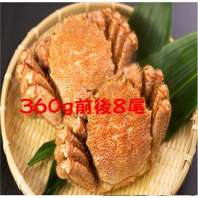 【北海道根室産】冷凍ボイル毛蟹 360g前後×8尾 D-66016