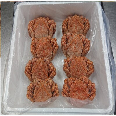 【北海道根室産】冷凍ボイル毛蟹 360g前後×8尾 D-66016