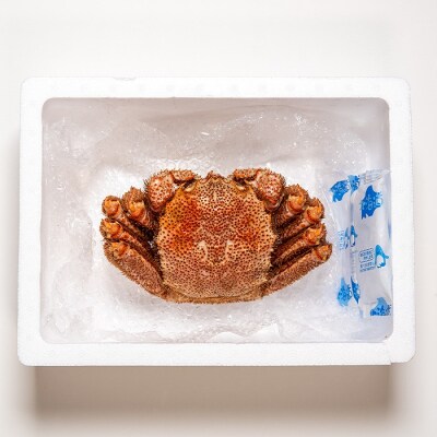【北海道根室産】茹で毛がに約450g×1尾 A-45005