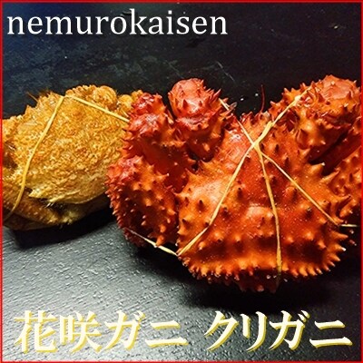 【北海道根室産】花咲ガニとクリガニの食べ比べセット A-57054