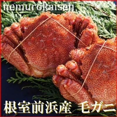 【北海道根室産】毛がに700～800g×2尾(チルド便) D-57026