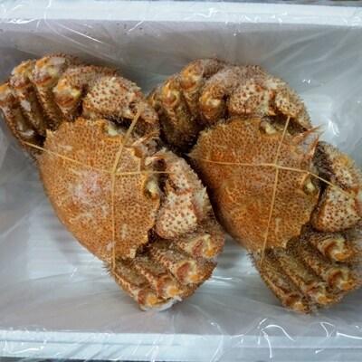 【北海道根室産】毛がに700～800g×2尾(チルド便) D-57026