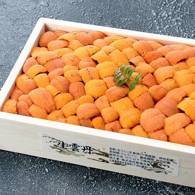 エゾバフンウニ約240g×1折[10月下旬以降発送] F-24002