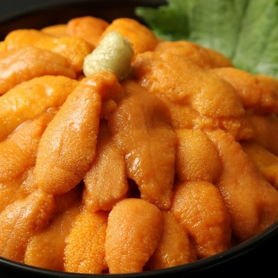 エゾバウンウニ塩水パック70g前後×2P[2026年1月下旬以降発送] B-54001