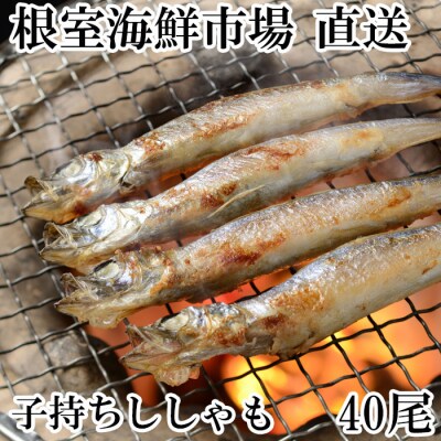 子持ちししゃも40尾 A-11216