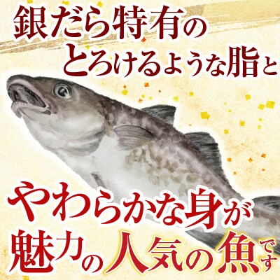 銀だら煮付け A-09023