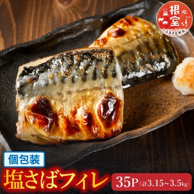 [個包装]塩さばフィレ1枚×35P B-09032