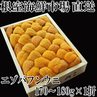 【年内配送】エゾバフンウニ(黄系)バラ詰め約170～180g×1折 B-14085