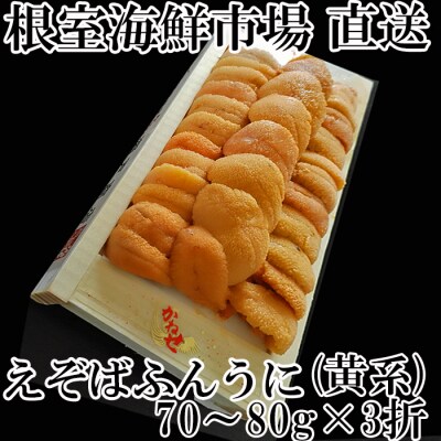 【年内配送】根室海鮮市場＜直送＞エゾバフンウニ(黄系)約70～80g×3折 C-28031