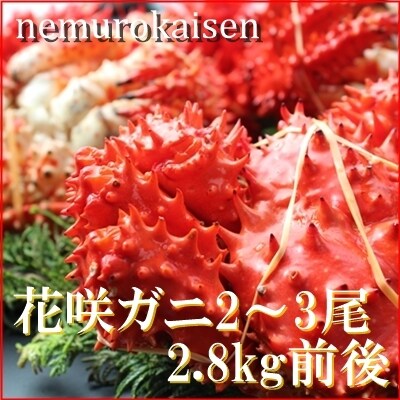 【北海道根室産】花咲ガニ2～3尾(計2.8kg前後)(チルド便) D-57029