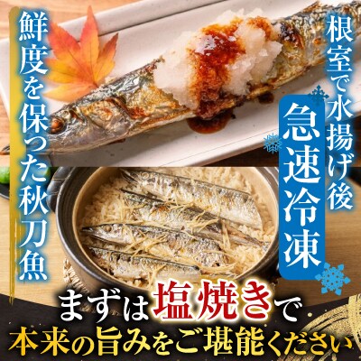 【北海道根室産】花咲かに2尾・冷凍さんま5尾セット A-70004