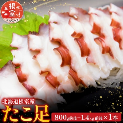 【北海道根室産】たこ足800g前後～1.4kg前後×1本 A-36051