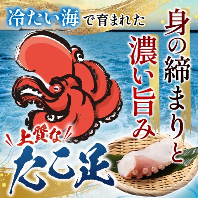 【北海道根室産】たこ足800g前後～1.4kg前後×1本 A-36051