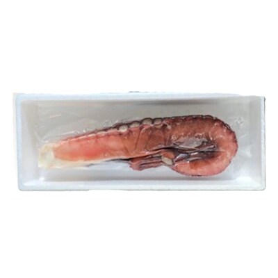 【北海道根室産】たこ足800g前後～1.4kg前後×1本 A-36051