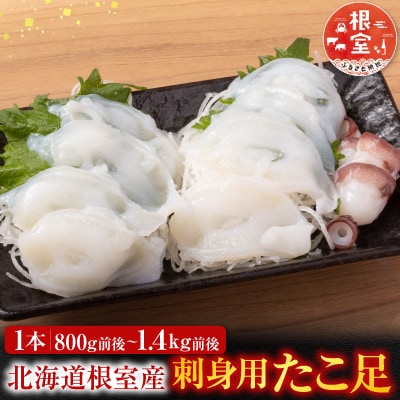 【北海道根室産】たこ足800g前後～1.4kg前後×1本 A-30050