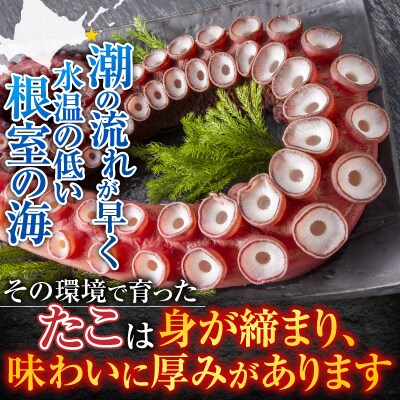 【北海道根室産】たこ足800g前後～1.4kg前後×1本 A-30050
