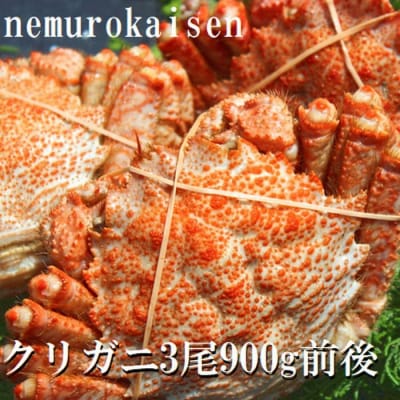 【北海道根室産】クリガニ3尾(計900g前後) A-57057