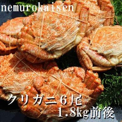 【北海道根室産】クリガニ6尾(計1.8kg前後) C-57037