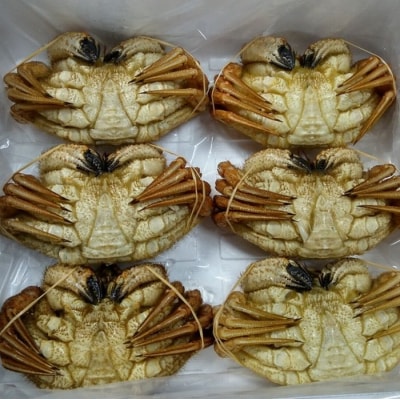 <12/21まで年内配送>★クリガニ6尾(計1.8kg前後) C-57037