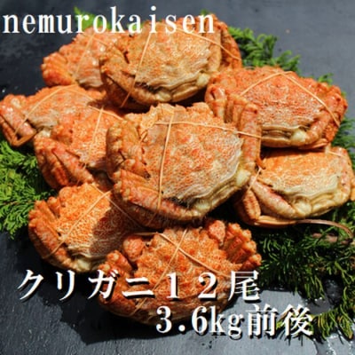 【北海道根室産】クリガニ12尾(計3.6kg前後) D-57030