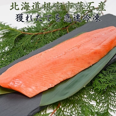 【北海道根室産】さくらますルイベ(刺身用)半身×4枚(計1.2～1.5kg) B-20003