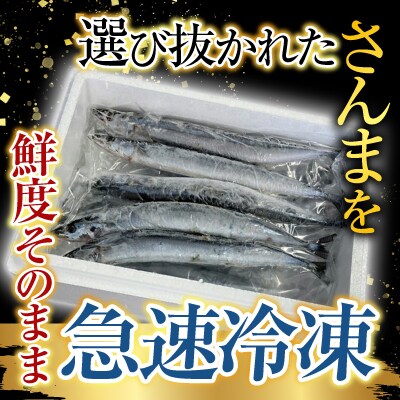 【北海道根室産】冷凍さんま5尾×4P(計20尾) A-76001