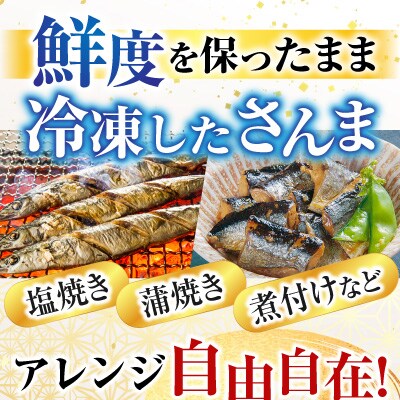 【北海道根室産】花咲かに2尾・冷凍さんま5尾 A-76002