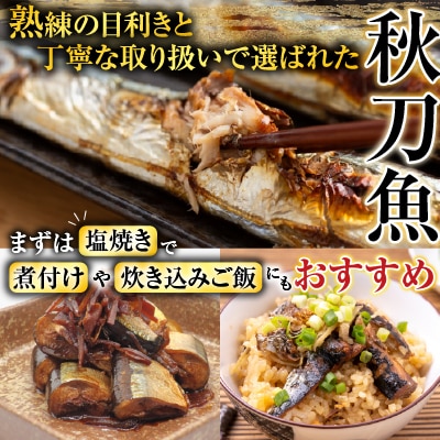 冷凍生さんま5尾×2P・ほたて貝柱200g×1Pセット A-76016